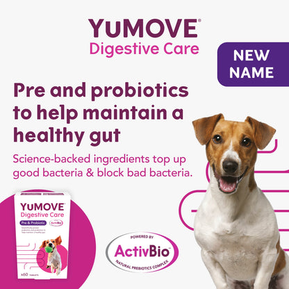 YuMove Digestive Care For Dogs 60 Tablets 49g — image 3