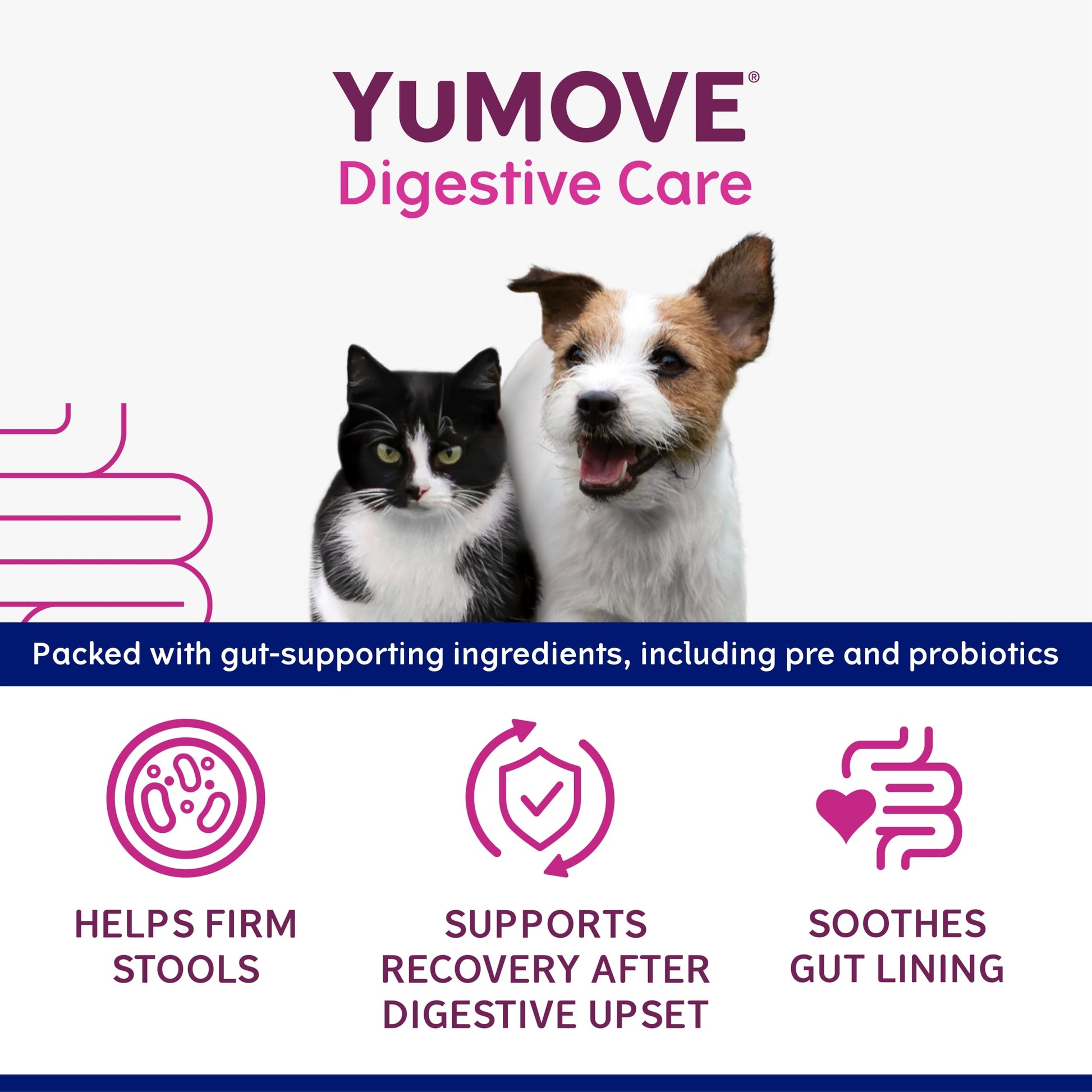 YuMove Digestive Care Rapid for Cats & Dogs 30ml — image 2