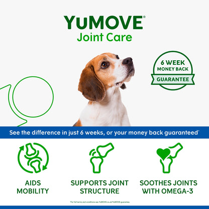 YuMove Joint Care Daily Bites For Senior Dogs 60 Pack 150g — image 2